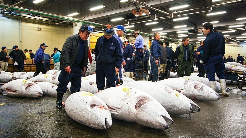Japan Guide You can see the auction from anywhere else.